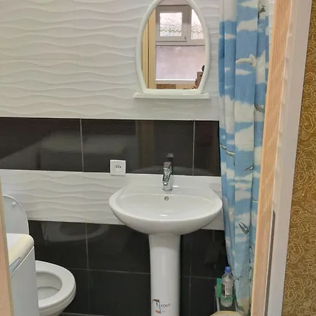1 комнатная осипова Apartment *